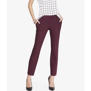 Express Columnist Ankle Dress Pant in Dark Maroon